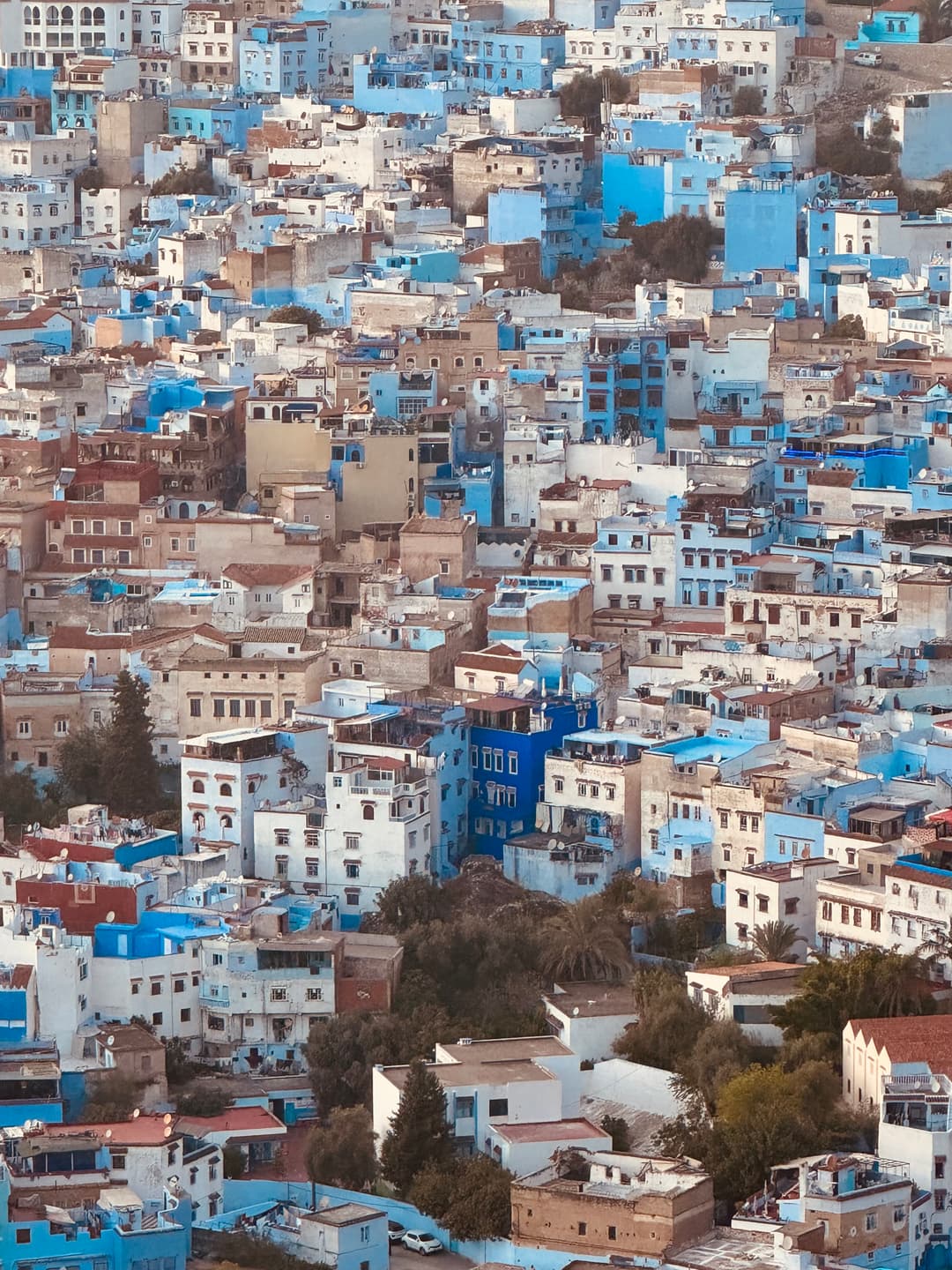 Amid the echo of chants, one house wears a different blue (Chefchaouen).